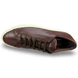 Achilles Sneaker - Oak Hall