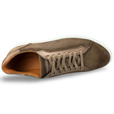Amadeo Sneaker - Oak Hall