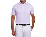 Lennox Polo - Oak Hall
