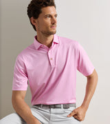 Solid Performance Jersey Polo - Sean Self Collar - Oak Hall