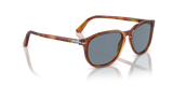 Persol PO3019S Sunglasses - Terra Di Siena