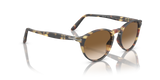 Persol PO3092SM Sunglasses - Tabacco Virginia