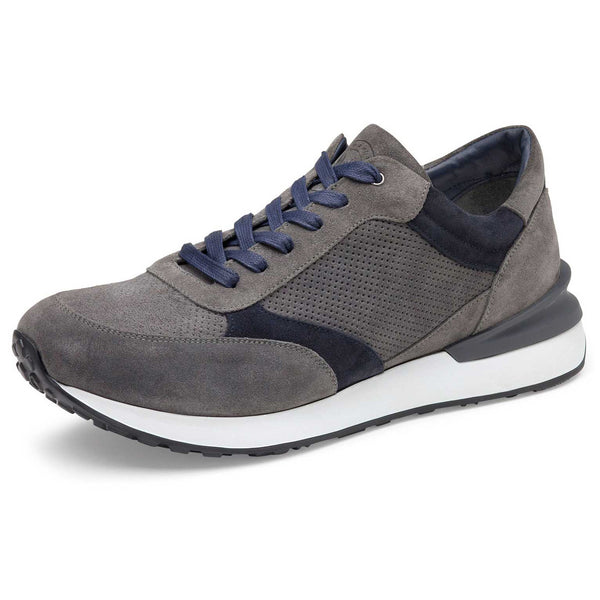 Briggs Jogger - Oak Hall