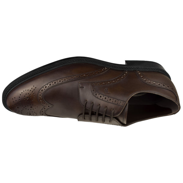Wingtip Dress Oxford - Oak Hall, Inc.